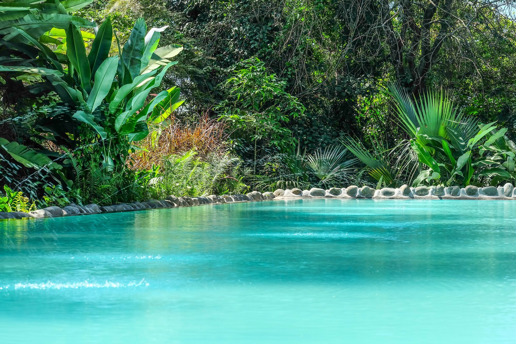 Ngare Sero Mountain Lodge Usa River Εξωτερικό φωτογραφία